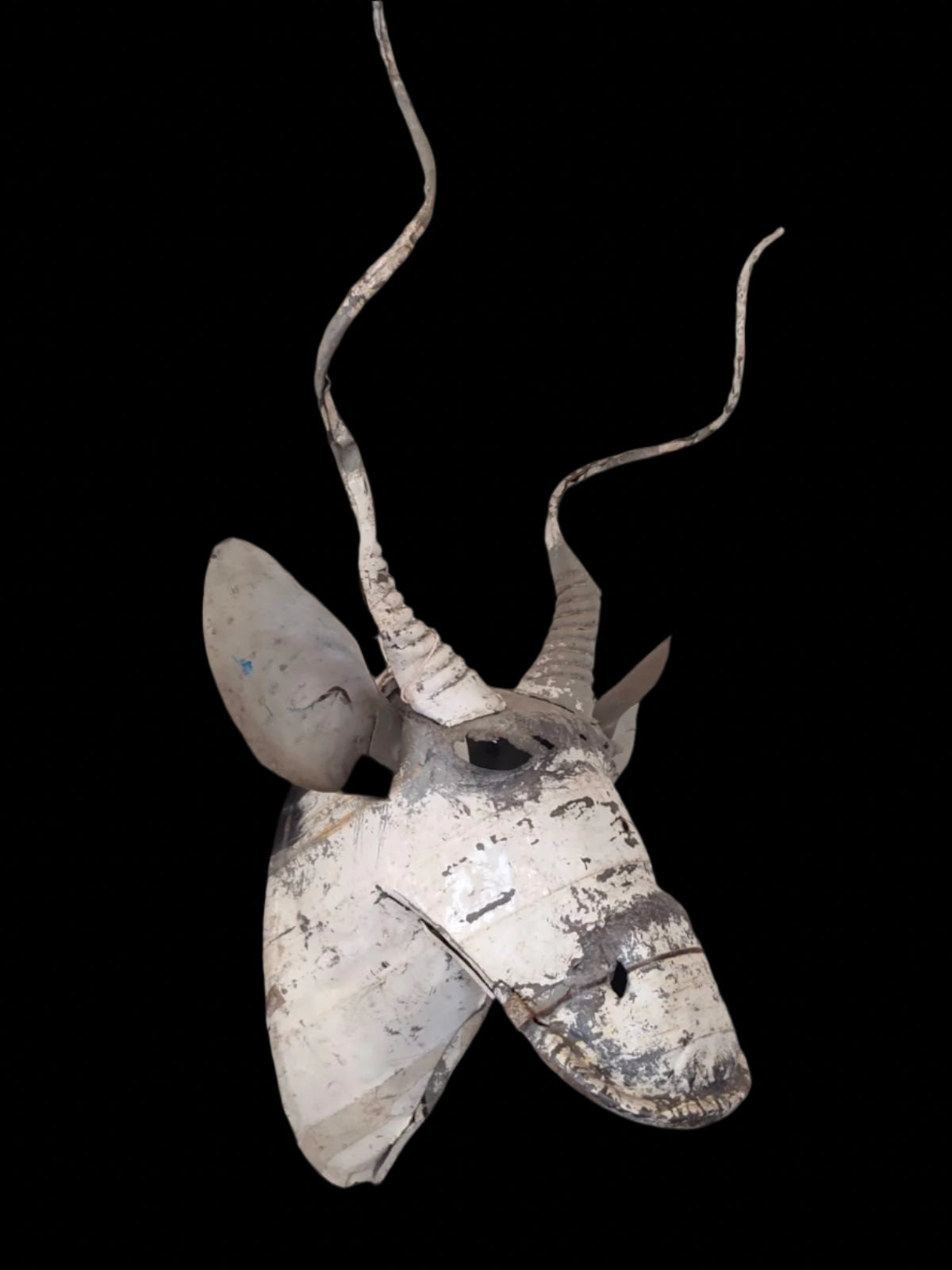 Kudu Head