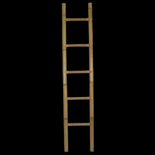 Natural Bamboo Ladder