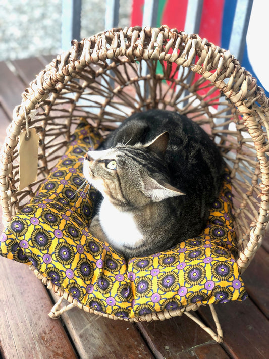 Pet Basket