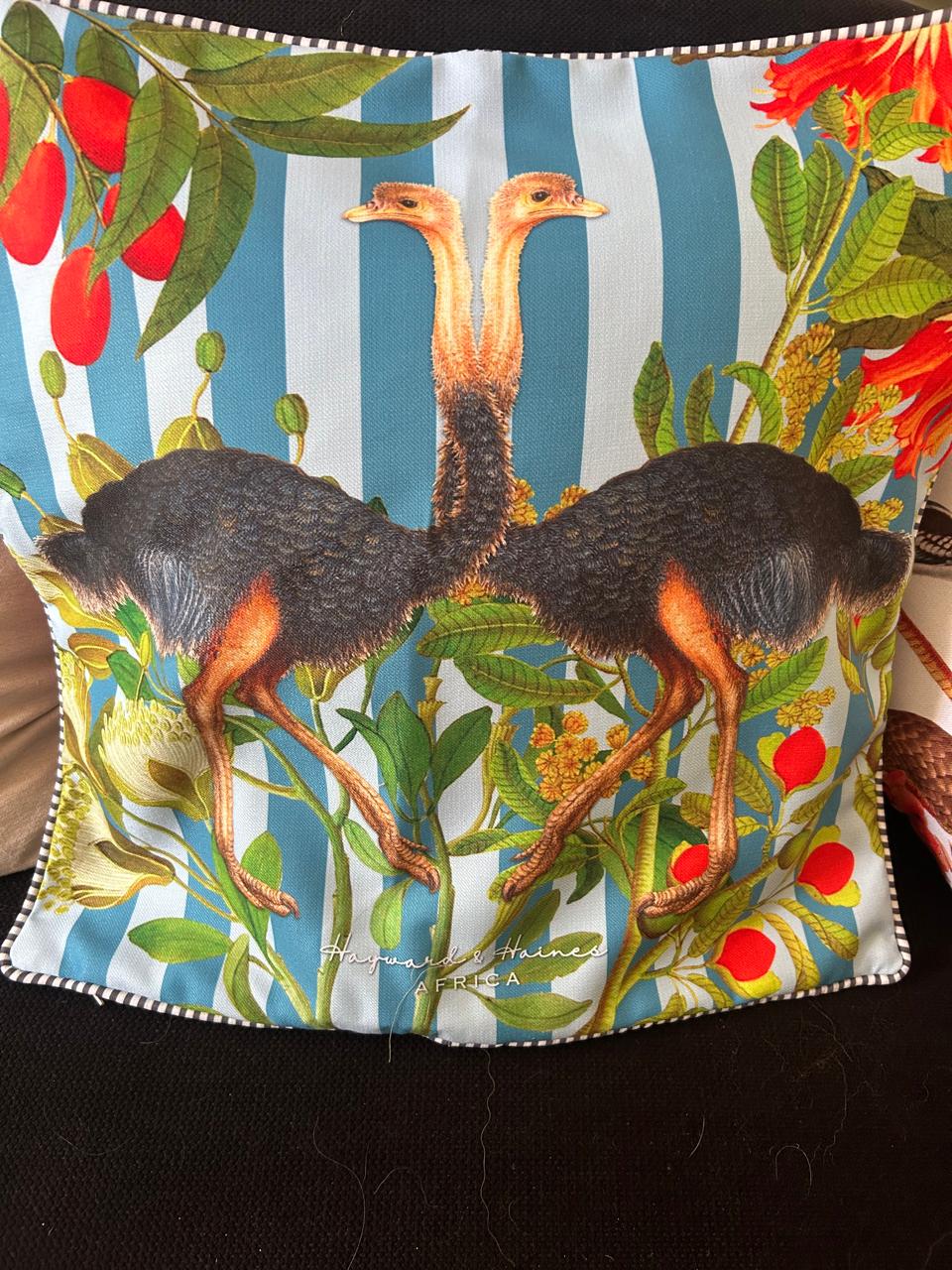 Scatter cushion