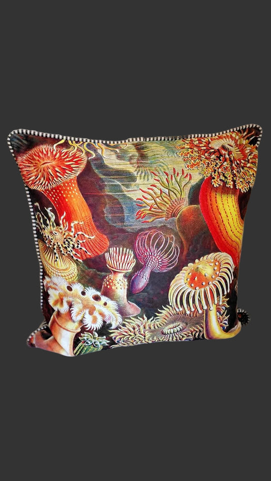 Scatter cushion